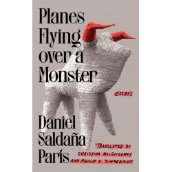 Planes Flying over a Monster: Essays