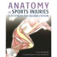 Anatomy of Sports Injuries