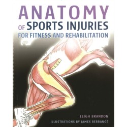 Anatomy of Sports Injuries