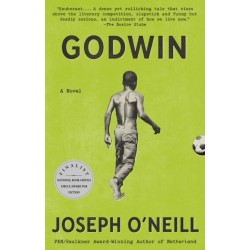 Godwin: A Novel