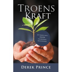 Troens kraft: At træde ind i Guds fuldkomne muligheder