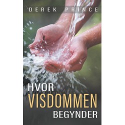 Hvor visdommen begynder