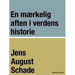 En mærkelig aften i verdens historie
