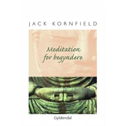 Meditation for begyndere: Seks guidede mindfulness-meditationer