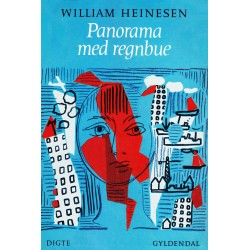 Panorama med regnbue