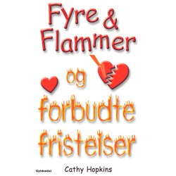 Fyre & Flammer 8 - Fyre & Flammer og forbudte fristelser