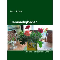 Hemmeligheden: En historie om søgende unge