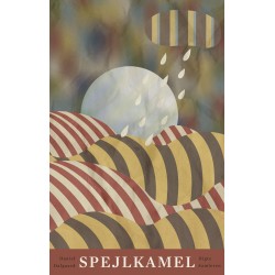 Spejlkamel