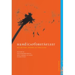 Handicapforståelser - mellem teori, erfaring og virkelighed