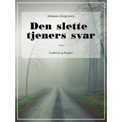 Den slette tjeners svar