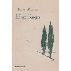Efter Regn