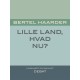 Lille land, hvad nu?