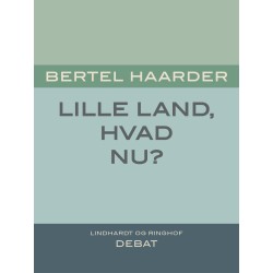 Lille land, hvad nu?