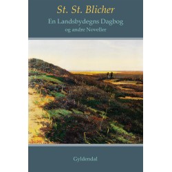 En Landsbydegns Dagbog og andre Noveller