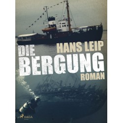 Die Bergung