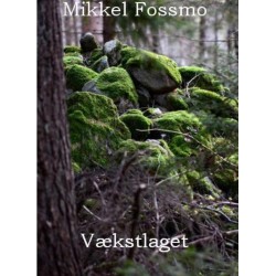 Vækstlaget