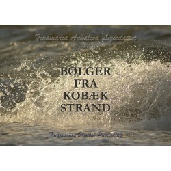 Bølger fra Kobæk Strand