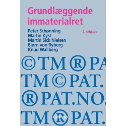 Grundlæggende immaterialret