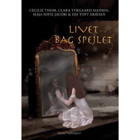 Livet bag spejlet