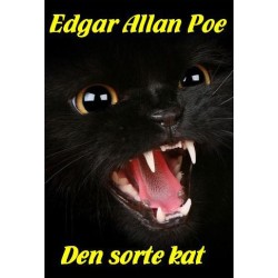 Den sorte kat