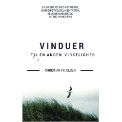 Vinduer til en anden virkelighed