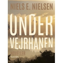 Under vejrhanen