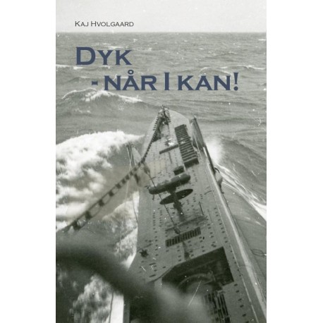 Dyk - Når I kan