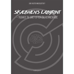 Skæbnens labyrint: tilbage til livet efter en hjerneskade