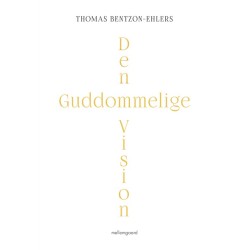 Den guddommelige vision