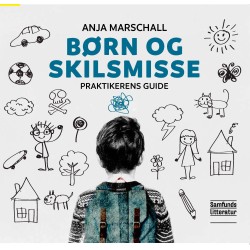 Børn og skilsmisse: praktikerens guide