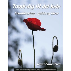 Tænk dig til det hele: Visualisering - guide og ideer