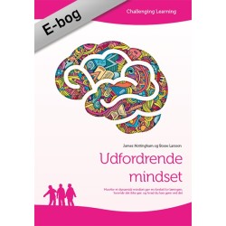 Udfordrende mindset
