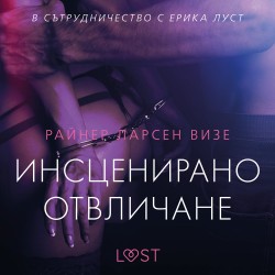 Инсценирано отвличане – еротичен разказ