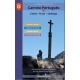Pilgrim's Guide to the Camino Portugues: Lisbon - Porto - Santiago