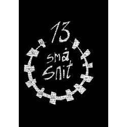 13 små snit