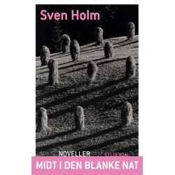 Midt i den blanke nat: Noveller