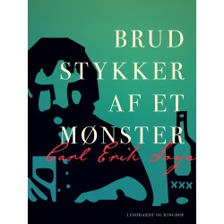 Brudstykker af et mønster