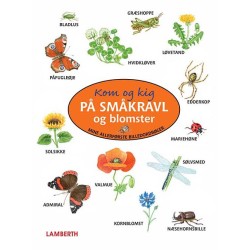 Kom og kig på småkravl og blomster