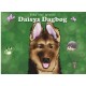 Daisys dagbog: Daisys have