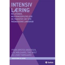 Intensiv læring: Relationer, mestringsoplevelser og transfer i det nye pædagogiske landskab