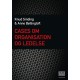 Cases om organisation og ledelse