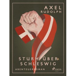Sturm über Schleswig