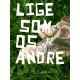 Ligesom os andre
