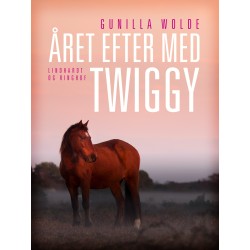 Året efter med Twiggy