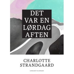 Det var en lørdag aften