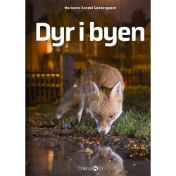 Dyr i byen