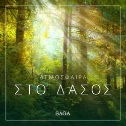 Ατμόσφαιρα - Στο δάσος
