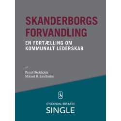 Skanderborgs forvandling - Den danske ledelseskanon, 8: En fortælling om kommunalt lederskab