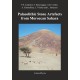 Palaeolithic Stone Artefacts from Moroccan Sahara