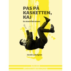 Pas på kasketten, Kaj. En skamfletroman